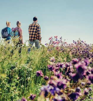 Wandern in den Weinbergen bei Lauffen | Lauffen am Neckar