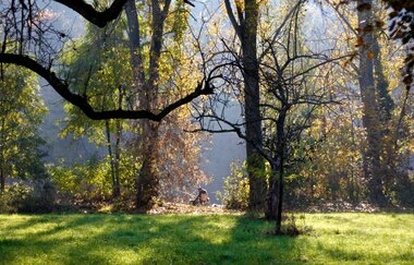 Kaywald im Naturschutzgebiet "Alte Neckarschlinge | Lauffen am Neckar | HeilbronnerLand