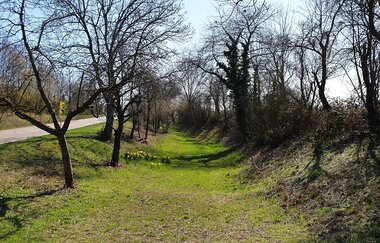 Altwürttenbergischer Landgraben bei Lauffen am Neckar | HeilbronnerLand