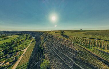 Blick über die Weinberge auf die Katzenbeisser Steillagen bei Lauffen am Neckar.