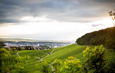 Aussicht vom Galgenberg auf Heilbronn | © Heilbronn Marketing GmbH