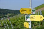 Wegweiser Bild | © Touristikgemeinschaft HeilbronnerLand