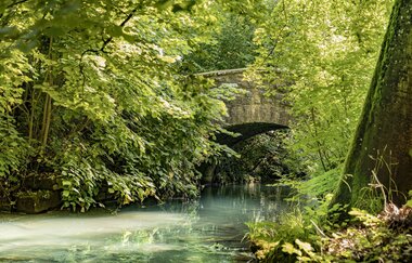 Schloßpark Billigheim | © Touristikgemeinschaft Odenwald e.V.
