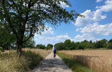 Schindelberg-Loop | © Kraichgau-Stromberg Tourismus e.V.
