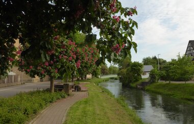 Schlemmertour rund um das Elsenztal | © Landratsamt Rhein-Neckar-Kreis