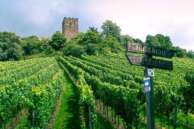 © Land der 1000 Hügel - Kraichgau-Stromberg
