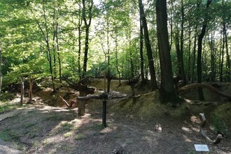 Sinnenpfad Neckargemünd