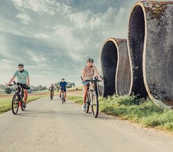 Radler fahren auf einem Fahrradweg, daneben befindet sich eine Skulptur, die eine Straße in Wellen zeigt; im Hintergrund befinden sich Wiesen und Wälder | © Touristikgemeinschaft Odenwald e.V.