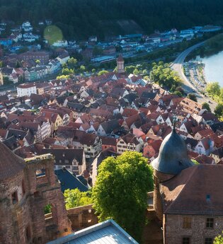 Stadtrundgang Wertheim - stufenlos | © Unbekannt