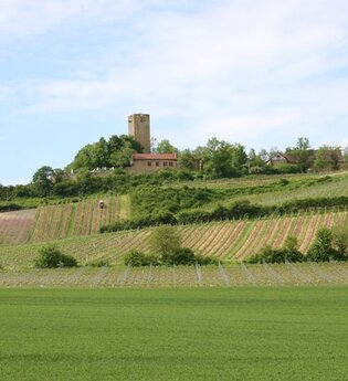 SU1 - Ravensburg-Tour
