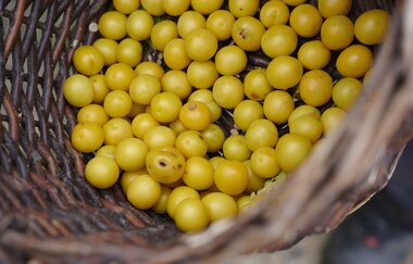 SU2 - Wandern zwischen Wein, Wald und Streuobstwiesen