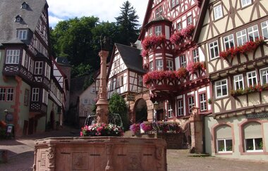 Tour 5: Kurvenreich im Odenwald | © TOURISMUS REGION WERTHEIM GmbH