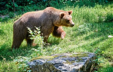 Tour 7: Kurvenreich im Taubertal | © TOURISMUS REGION WERTHEIM GmbH