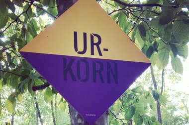 Trails of Hall - Mountainbike Trail am Einkorn - Route Urkorn | © Hohenlohe + Schwäbisch Hall Tourismus e. V.