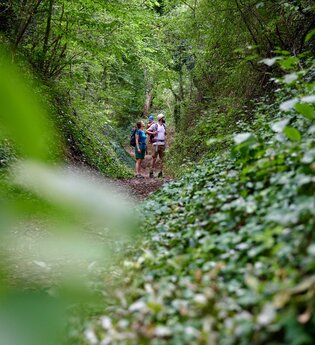 Wandern in Ubstadt-Weiher