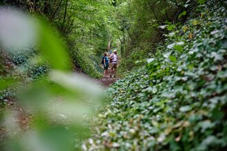Wandern in Ubstadt-Weiher
