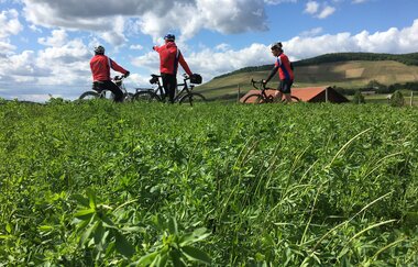 VAI-Tour-Nord | © Land der 1000 Hügel - Kraichgau-Stromberg