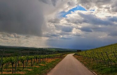 VAI-Tour-Nord | © Land der 1000 Hügel - Kraichgau-Stromberg