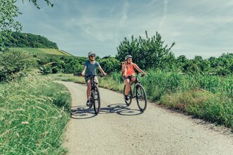 Radfahren auf dem Württemberger Weinradweg | HeilbronnerLand | © Touristikgemeinschaft HeilbronnerLand