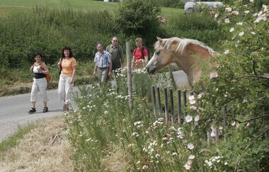 Wasser.Wein.Weite | © Tourist-Information Külsheim