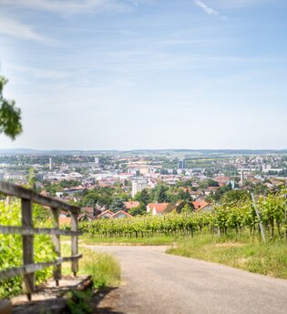 Wein Panorama Weg Heilbronn