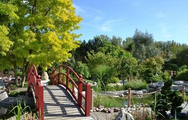 Wein-Radreise 2. Etappe: Zum Meistertrunk | © Touristikgemeinschaft Hohenlohe, Künzelsau / Hohenloher Gartenparadies