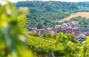 Wein-Radreise 4. Etappe: Gesundheit und Wein | © Liebliches Taubertal