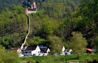 Wein-Radreise 7. Etappe: Zu den Mainburgen | © Liebliches Taubertal