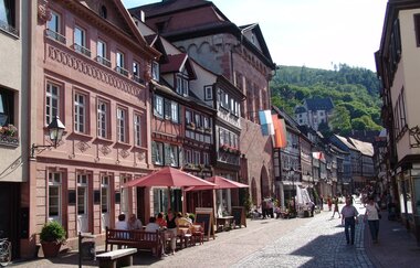Wein-Radreise 7. Etappe: Zu den Mainburgen | © TOURISMUS REGION WERTHEIM GmbH