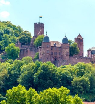 Wein-Radreise 7. Etappe: Zu den Mainburgen | © Liebliches Taubertal