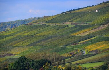 Wein-Radreise Taubertal | © Liebliches Taubertal