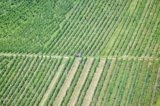 Radfahrer fahren im Weinberg | © Touristikgemeinschaft Hohenlohe e. V. | Florian Trykowski