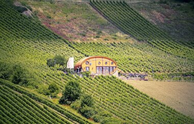 Ingelfinger Fass in den Kochertaler Weinbergen | © Touristikgemeinschaft Hohenlohe e. V. | Andi Schmid