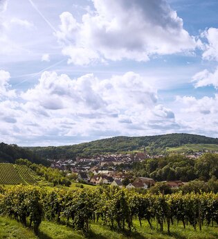 Wiesloch Rundwanderung | © Winzer von Baden