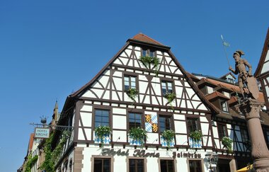 Wine & Bike - Rundtour ab Bretten | © Tourist-Info Bretten