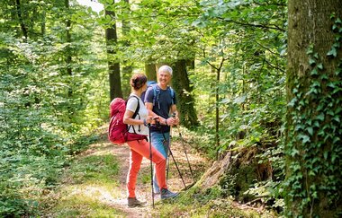 Wanderer im Wald | © Touristikgemeinschaft Hohenlohe e. V.