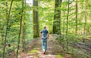 Wanderer im Wald | © Touristikgemeinschaft Hohenlohe e. V.
