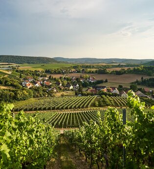 Weinbaugemeinde Eberstadt | Weinsberger Tal | HeilbronnerLand | © Tourismus im Weinsberger Tal