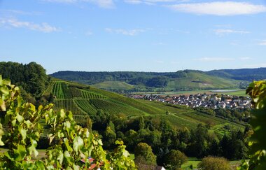 DSGVO WT Obersulm Weinberge Obersulm web | © Wolfram Linnebach | Tourismus im Weinsberger Tal