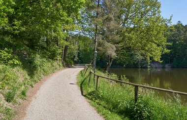Wüstenrot Rundwanderweg 4 | Wald- und Feldwege | Weinsberger Tal | © Tourismus im Weinsberger Tal