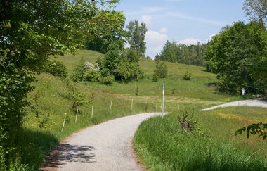 Wüstenrot Rundwanderweg 4 | Wald- und Feldwege | Weinsberger Tal | © Tourismus im Weinsberger Tal