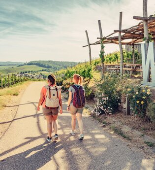 Weinausschank im Zweifelberg | Weinsüden Weinort Brackenheim | HeilbronnerLand