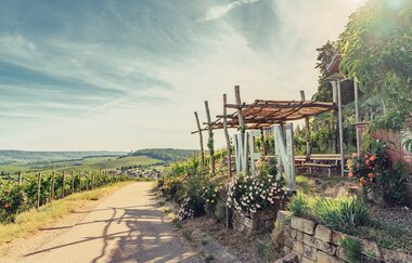 Weinausschank Zweifelberg Fotospot-Wein | Brackenheim im HeilbronnerLand
