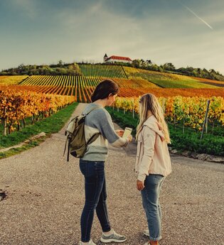 Unterwegs am Michaelsberg | Cleebronn