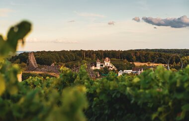 Ausblick auf den Erlebnispark Tripsdrill