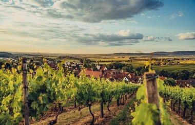 Abendstimmung im Zabergäu | © Touristikgemeinschaft HeilbronnerLand e.V.