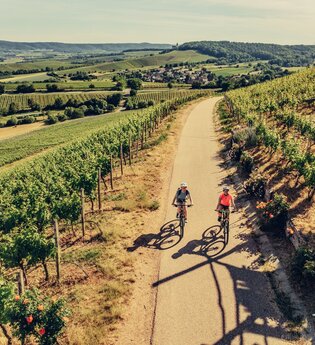 Radfahren am Zweifelberg | © Touristikgemeinschaft HeilbronnerLand e.v.